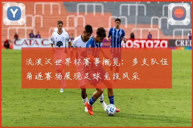 流浪汉世界杯赛事概览:多支队伍角逐赛场展现足球竞技风采