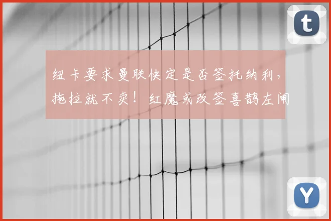 纽卡要求曼联快定是否签托纳利,拖拉就不卖!红魔或改签喜鹊左闸