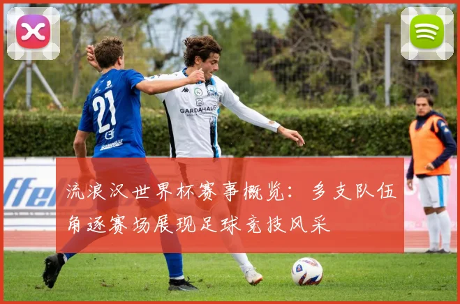 流浪汉世界杯赛事概览：多支队伍角逐赛场展现足球竞技风采