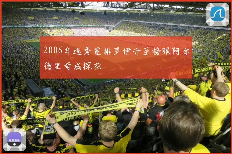 2006年选秀重排罗伊升至榜眼阿尔德里奇成探花